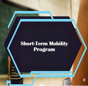 Announcement of the launch of the 2026 Short-Term Mobility and Skill Enhancement Programme abroad